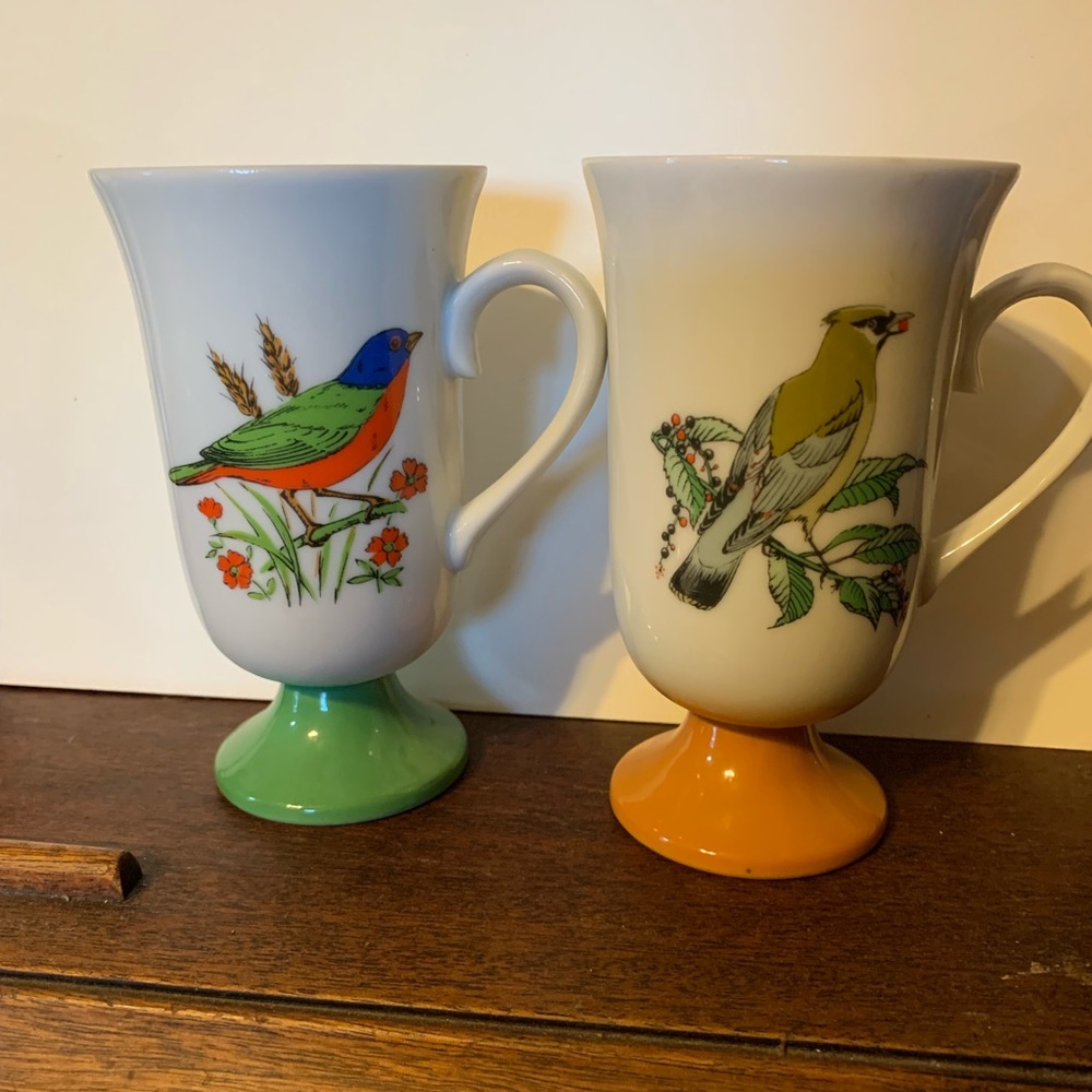Two Vintage Irish Coffee cups/mugs with Colorful birds.